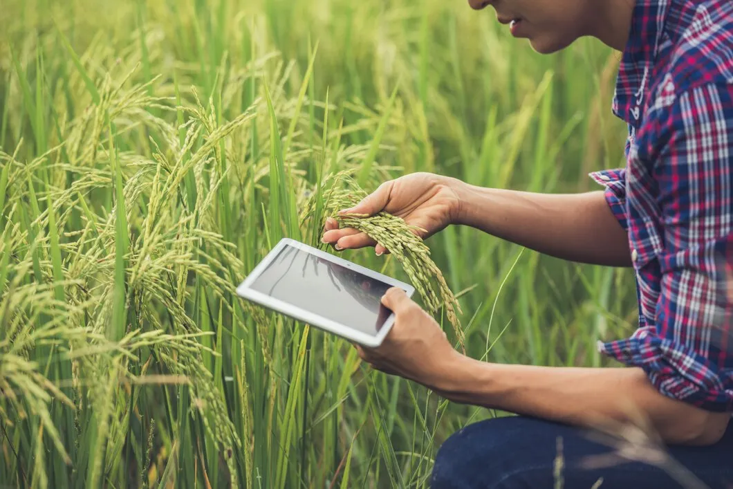 Smart Farming Technology